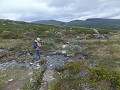 Dovrefjell National Park: op zoek naar muskusossen