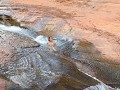 Sedona: Slide Rock State Park