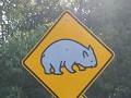 Opgepast wombats