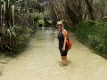Eli Creek (Fraser Island)