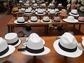 Panama hoeden made in Cuenca