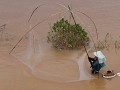 Visser in de Mekong