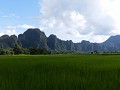 de eeuwige rijstvelden
