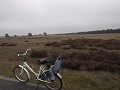 Hoge Veluwe met de fiets
