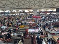 Vers vlees op de Chorsu Bazaar