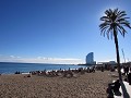 Barcelonetta