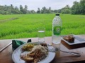 Lunch