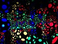 Kusama