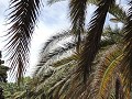 Mendoza city tour - Parque San Martin 