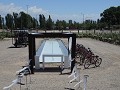 Wine & Bike tour