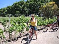 Wine & Bike tour