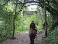 Paardrijden in Quebrada de San Lorenzo - Annelies