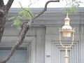 Centro