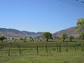 Wandeling naar El Mollar