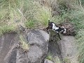 Rio Colorado