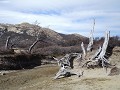 1e wandeling: Sendero al Fitz Roy