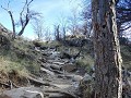 3e wandeling: Senda a Laguna Torre