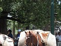 Salta