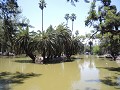 Salta