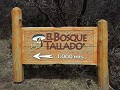 El Bosque Tallado