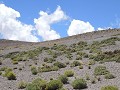 Dag 2 - Lagunas Altiplánicas (laguna Chiarcota)