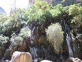 El Vergel