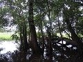 Dag 2 @ de pampas