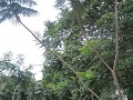 Jardin Botanico