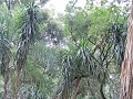 Jardin Botanico