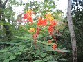 Jardin Botanico