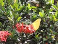Jardin Botanico