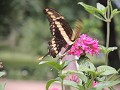 Jardin Botanico