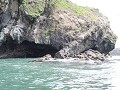 Monumento Natural: Islote De Puñihuil