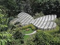 Jardin Botanico del Quindio - Mariposario