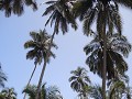 PN Tayrona 