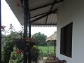 Hostel Palomino Breeze