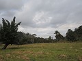 Paardrijden - El camino del Indio