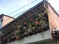 Guatapé