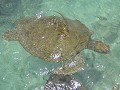 Islas del Rosario - Oceanario