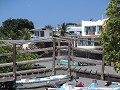 DAG 10 - Isla Santa Cruz 