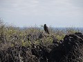 DAG 6 - Isla Española