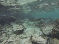 Galapagos onder water 