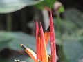 Mariposario