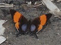 Mariposario - onderweg