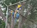 Zoológico