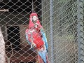 Zoológico