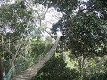 Dag 3: avontuur - canopy & zipline