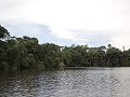 Dag 2: Lago Sandoval (Parque Nacional Tambopata) 