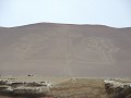 Islas Ballestas - onderweg