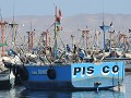 Paracas